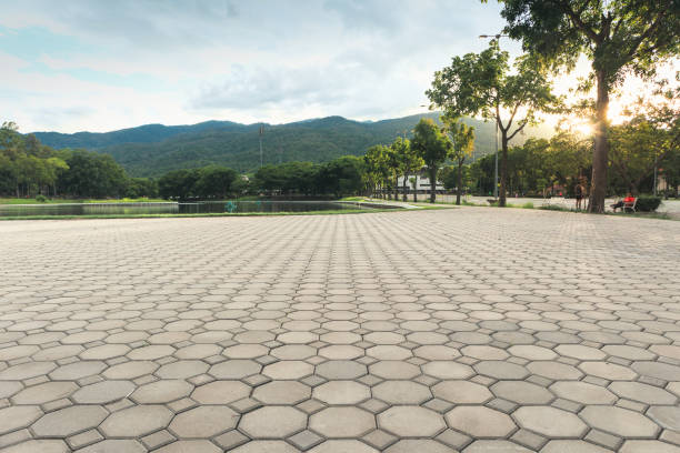 Best Professional Driveway Pavers  in Citrus Heights, CA